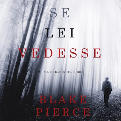 Se lei vedesse (Un giallo di Kate Wise – Libro 2)
