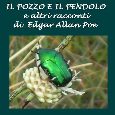 Il Pozzo e il pendolo e altri racconti