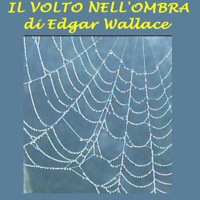 Il Volto nell'ombra