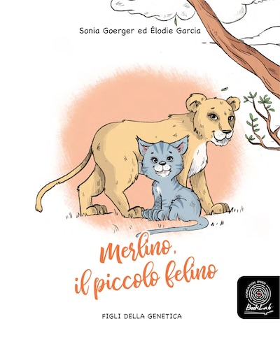 Merlino, il piccolo felino