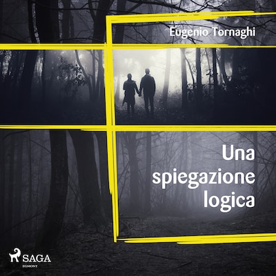 Una spiegazione logica