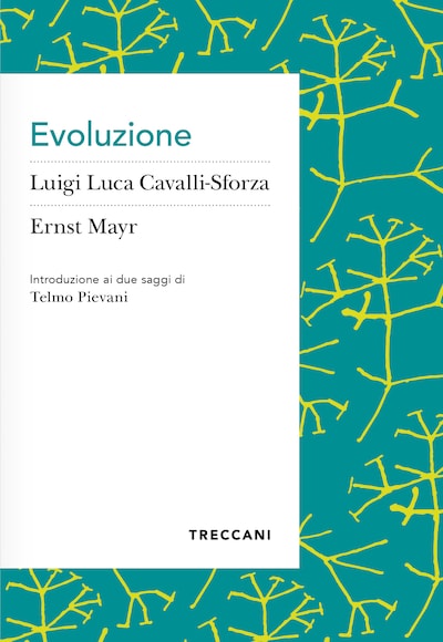 Evoluzione