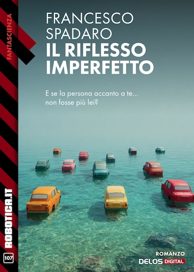 Il riflesso imperfetto