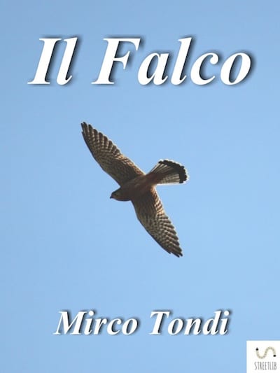 Il Falco