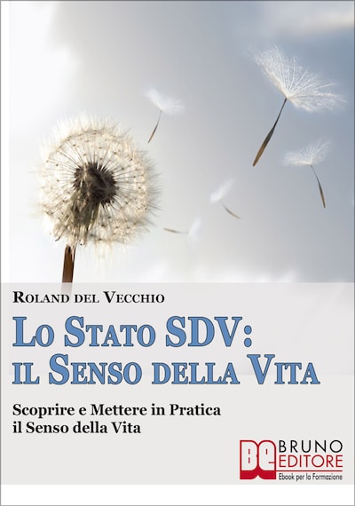 Lo Stato SDV: il Senso della Vita