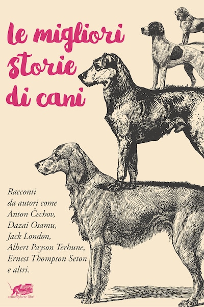 Le migliori storie di cani
