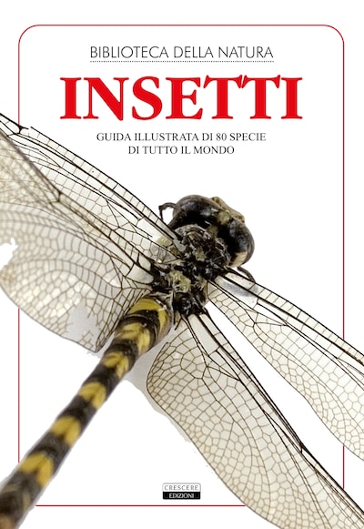 Insetti