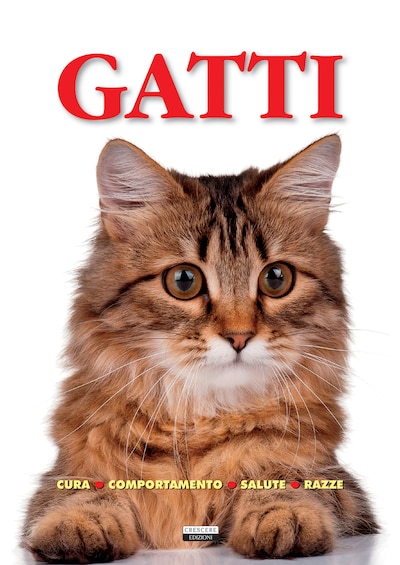 Gatti (Cura, comportamento, salute, razze)