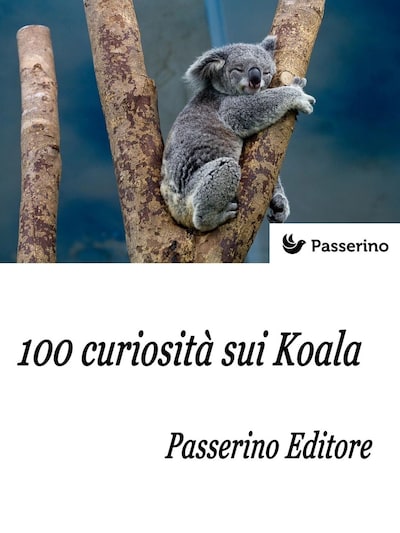 100 curiosità sui Koala