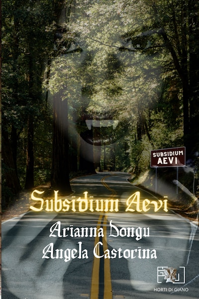 Subsidium Aevi