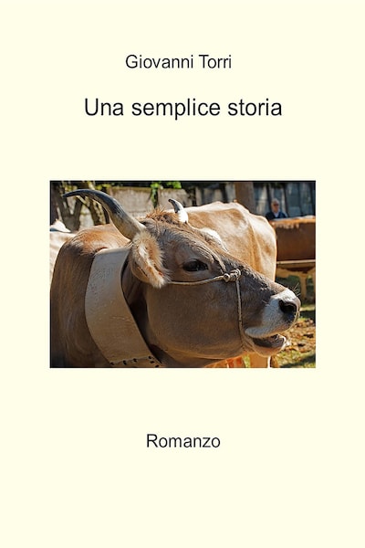 Una semplice storia