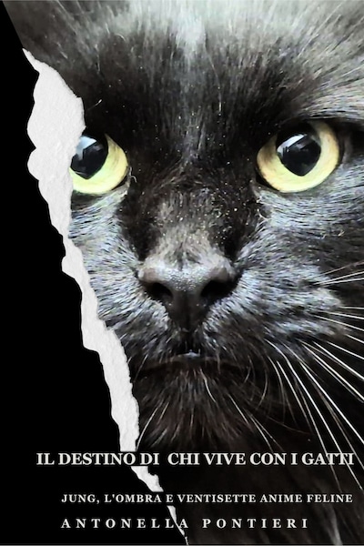 Il destino di chi vive con i gatti