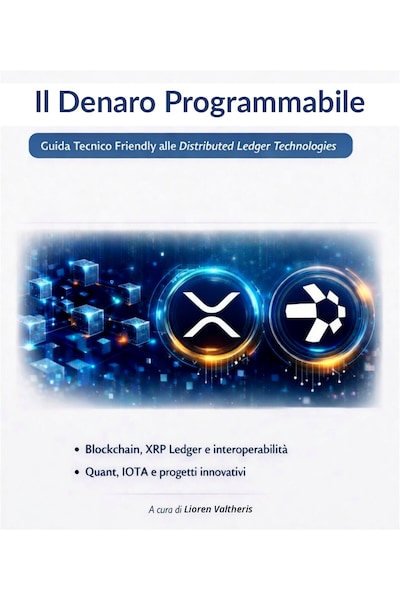 Il Denaro Programmabile