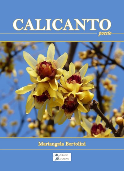 Calicanto