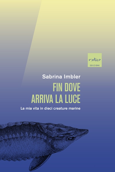 Fin dove arriva la luce