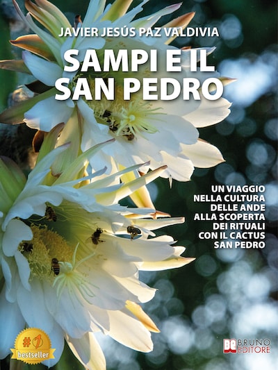 Sampi E Il San Pedro