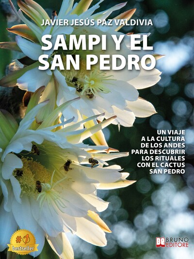 Sampi Y El San Pedro