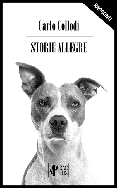 Storie allegre