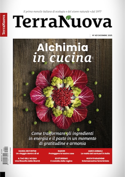 Terra Nuova Dicembre 2025