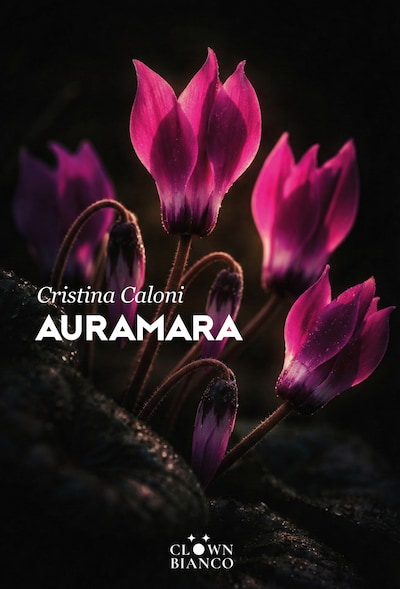Auramara