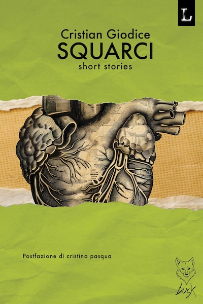 Squarci